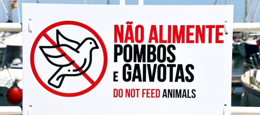 Sign dont feed the birds